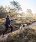 Preview: Non-Stop Trail light belt (All-in-One Laufgürtel)